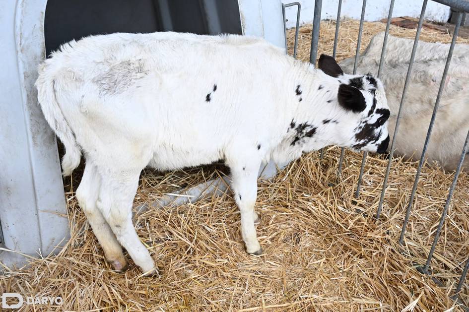 News cover